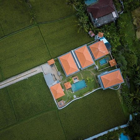 The Patra Ubud Екстериор снимка